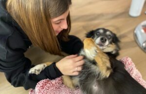 Tari ridotta per chi adotta un cane : ecco la mozione della consigliera D’Introno contro il randagismo