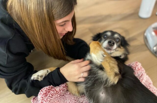 meno Tari più amici a quattro zampe 1