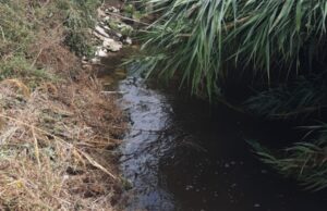 Via Vecchia Bisceglie, continua il problema dei liquami fognari nei campi. Dal Comune nessuna soluzione