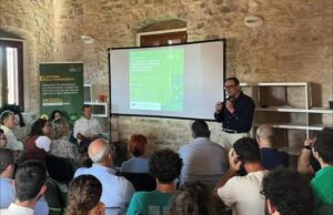 La canapa, una coltura con un grande potenziale per lo sviluppo sostenibile del nostro territorio