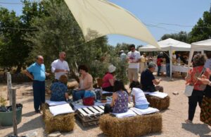 Torna l’appuntamento “Merenda nell’Oliveta 2024”