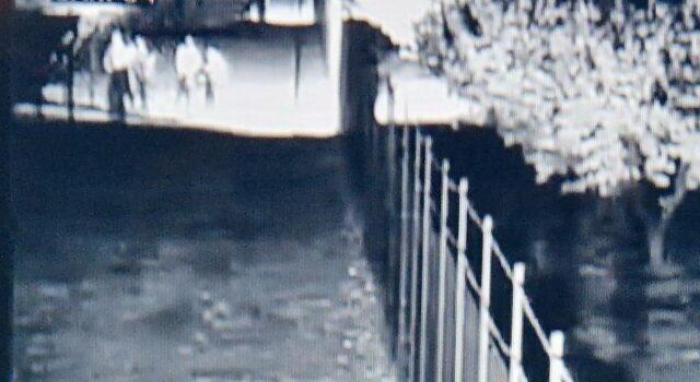 furto cavi di rame Corato sventato dalla Vigilanza Giurata