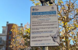 Colonie feline protette, 4 nuovi cartelli per indicare il luoghi dove i gatti randagi sono accuditi
