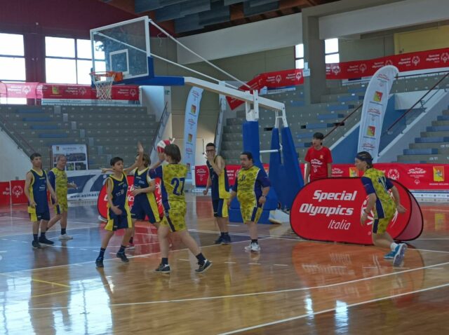 special basket Corato