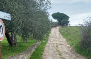 “Urbanizzazione Viale dei Mandorli, una strada attesa da 40 anni”: l’appello del comitato all’Amministrazione