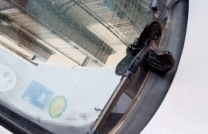 Deiezioni canine abbandonate sulle auto: tra inciviltà e mancanza di cestini, l’esasperazione dei residenti di via Teano