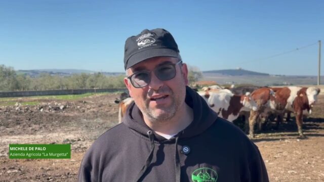 (Video) Progetto INNOPLUS: Innovazioni delle Produzioni Agro-Zootecniche Locali