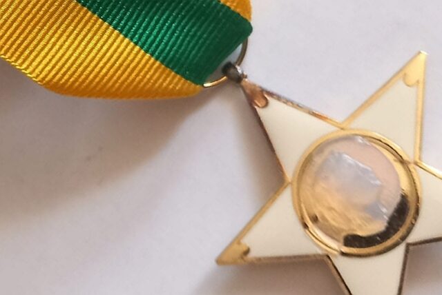 stelle al merito del lavoro