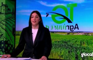 (Video) Dalla terra all’innovazione: arriva TG AgriInnova – in onda l’anteprima del nuovo format di Glocal TV