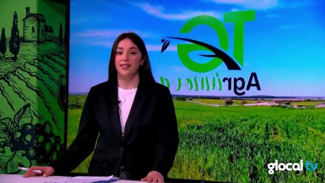 (Video) Dalla terra all’innovazione: arriva TG AgriInnova – in onda l’anteprima del nuovo format di Glocal TV