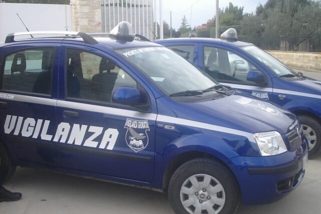 Vigilanza