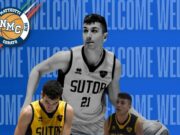 NMC, le retine del PalaLosito sono pronte a bruciarsi con le triple di Mauro Marchioli