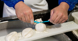 “Festa della burrata” promossa dal Consorzio di Tutela Burrata di Andria IGP