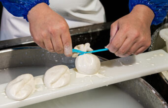 “Festa della burrata” promossa dal Consorzio di Tutela Burrata di Andria IGP