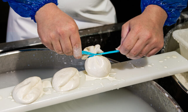 Burrata di Andria “Festa della burrata” promossa dal Consorzio di Tutela Burrata di Andria IGP