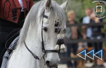 Cavallo Pura Razza Spagnola o Cavallo Andaluso