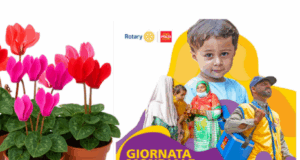 Un fiore contro la polio: il Rotary Club Corato in piazza Cesare Battisti per la raccolta fondi