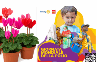 Un fiore contro la polio: il Rotary Club Corato in piazza Cesare Battisti per la raccolta fondi