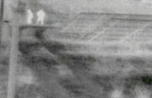 Tentato furto in un impianto fotovoltaico: Vigilanza mette in fuga i ladri Tentato furto in un impianto fotovoltaico: Vigilanza mette in fuga i ladri