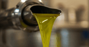 Olio extravergine d’oliva: crisi e scandalo nel settore oleario
