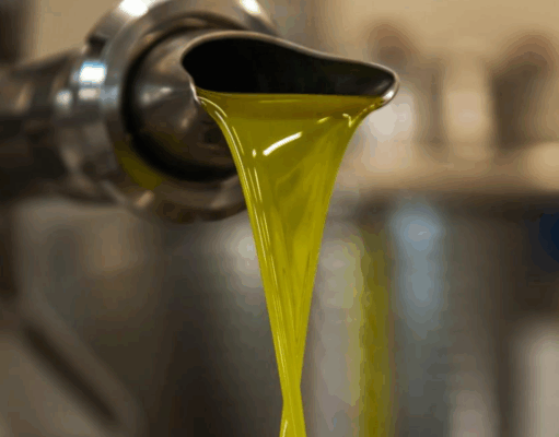 Olio extravergine d’oliva: crisi e scandalo nel settore oleario