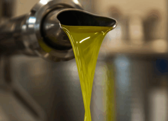 Olio extravergine, mercato in crisi: Unapol lancia l’allarme sul crollo dei prezzi Olio extravergine d’oliva: crisi nel settore oleario