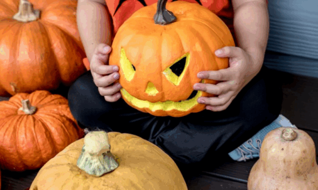 Zucca Halloween Doppio appuntamento per bambini al Museo della Città e del Territorio di Corato in occasione di Halloween
