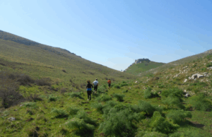 Nasce il MurGeoPark Trail Experience: il Festival che unisce Sport, Natura e Tradizione nel cuore dell’Alta Murgia MurGEopark Experience nel Parco Nazionale dell’Alta Murgia