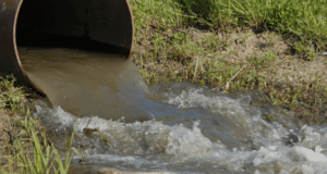 Legambiente Corato propone il riuso delle acque reflue depurate