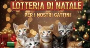 Lotteria di Natale ENPA Ruvo di Puglia: con 5 euro puoi salvare una zampetta Lotteria di Natale organizzata da ENPA Ruvo di Puglia