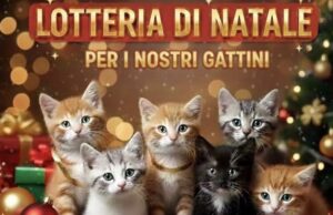 Lotteria di Natale organizzata da ENPA Ruvo di Puglia