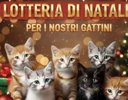 Lotteria di Natale ENPA Ruvo di Puglia: con 5 euro puoi salvare una zampetta Lotteria di Natale organizzata da ENPA Ruvo di Puglia