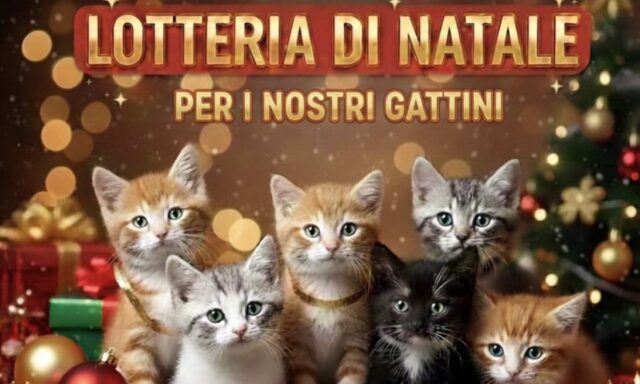 Lotteria di Natale organizzata da ENPA Ruvo di Puglia