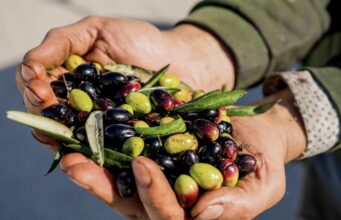 Nasce “Corato Cultivar Bellezza”