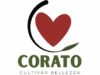 Nasce “Corato Cultivar Bellezza” Un brand per l’identità territoriale
