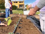 Nasce il Giardino Sensoriale a Torre Palomba: domenica l’inaugurazione aperta alla comunità