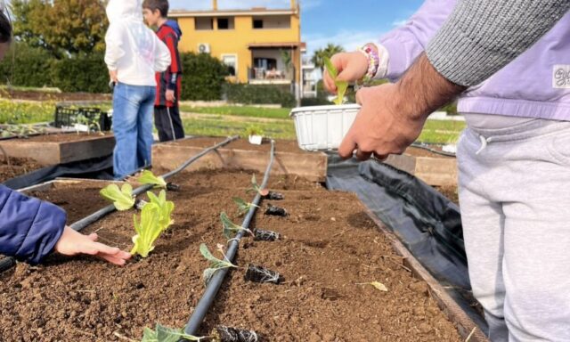 Giardino Sensoriale Nasce il Giardino Sensoriale a Torre Palomba: domenica l’inaugurazione aperta alla comunità