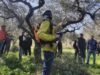 A Corato corsi Base e Avanzato di potatura e gestione dell’Olivo con la tecnica del Vaso Policonico tenuto dalla Scuola Potatura Olivo- Impresa Sociale