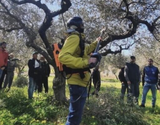 A Corato corsi Base e Avanzato di potatura e gestione dell’Olivo con la tecnica del Vaso Policonico tenuto dalla Scuola Potatura Olivo- Impresa Sociale