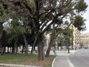 Rigenerazione del verde urbano in piazza Vittorio Emanuele a Corato
