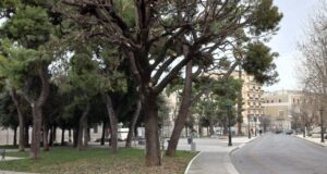 Rigenerazione del verde urbano in piazza Vittorio Emanuele a Corato