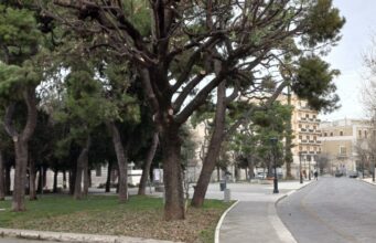 Rigenerazione del verde urbano in piazza Vittorio Emanuele a Corato
