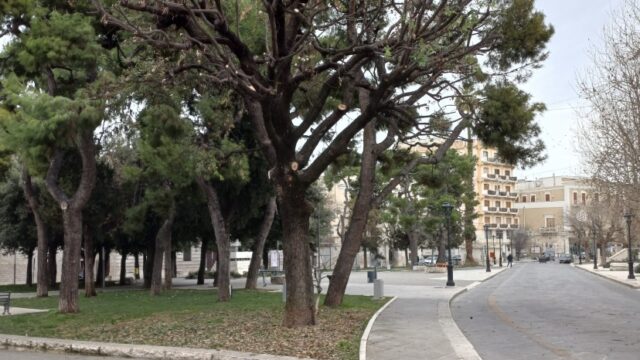 Rigenerazione del verde urbano in piazza Vittorio Emanuele a Corato