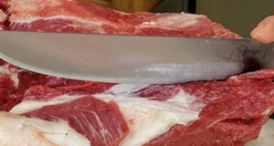 Divieto di carne di Cavallo