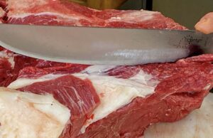 Divieto di carne di Cavallo