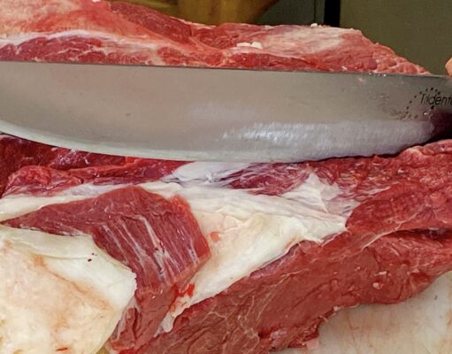 Divieto di carne di Cavallo