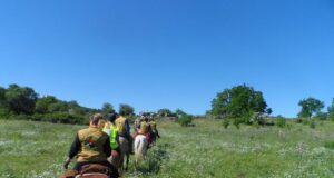 Giornate Europee dell’Archeologia 2026: a Corato convegno ed escursione a cavallo nel sito di San Magno