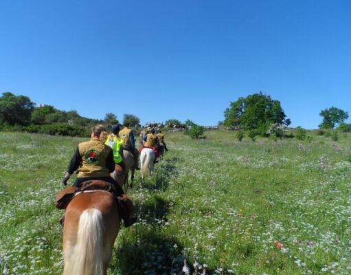 Giornate Europee dell’Archeologia 2026: a Corato convegno ed escursione a cavallo nel sito di San Magno