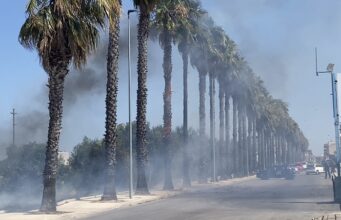 Corato, incendio in un campo in via Andria: fiamme anche su una palma