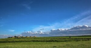 Alta Murgia, un incontro pubblico per riscoprire e custodire il paesaggio tra natura e storia